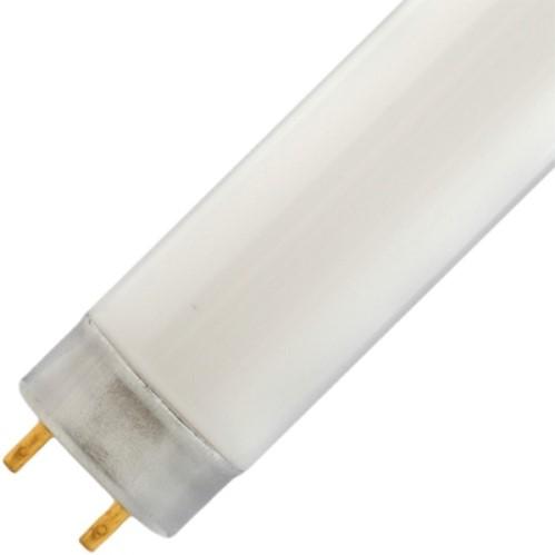 FLUORESCENT TUBE DAYLIGHT 8W product photo Back View L