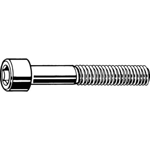 SOCKET HEAD CAP SCREW A2 GRADE 70 M3X5 (100PCS/PKT) product photo Back View L